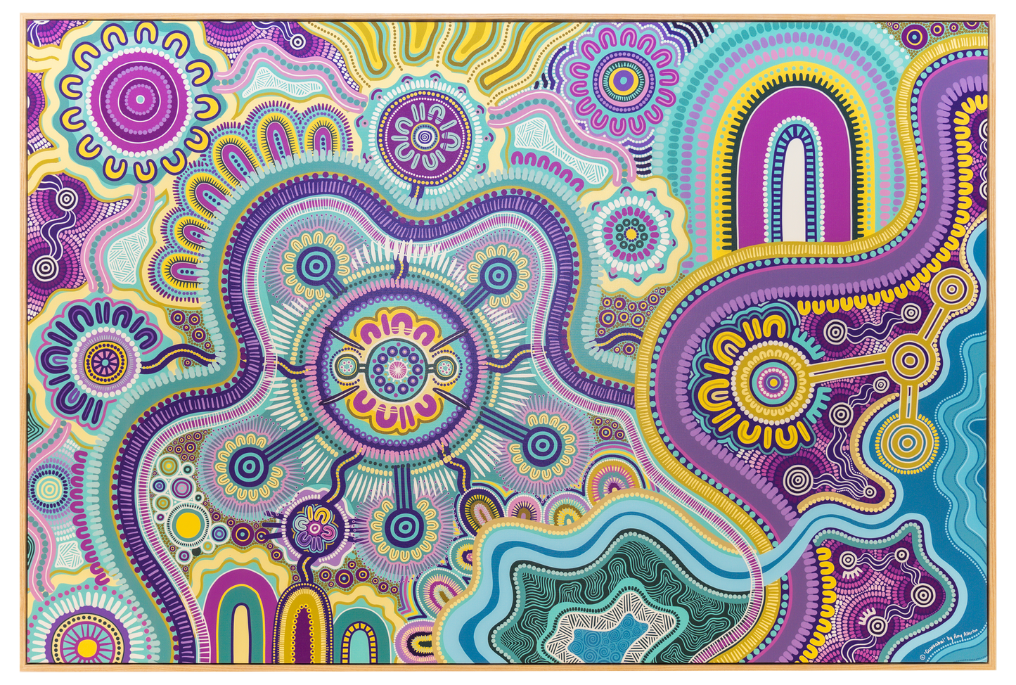 Indigico Aboriginal Art Canvas Print - Framed or Unframed - 'Guwaabal' artwork by Amy Allerton